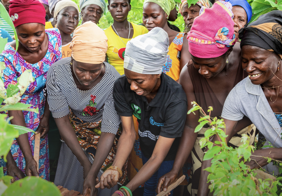 Factsheet for Young People: Gender & Adaptation