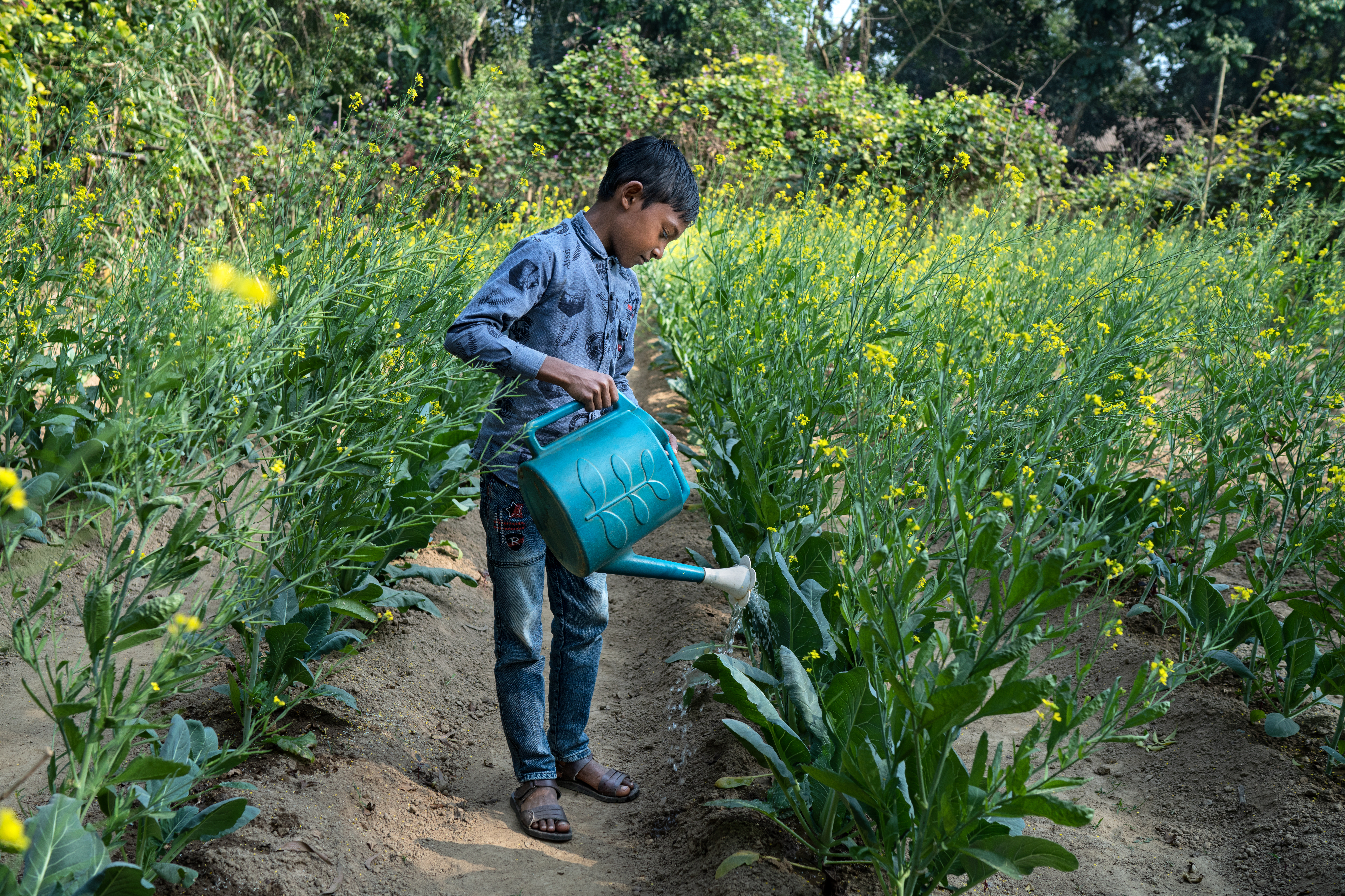 Education for Climate Action: Integrating Education into Nationally Determined Contributions